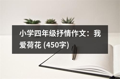 小學(xué)四年級抒情作文：我愛荷花 (450字)