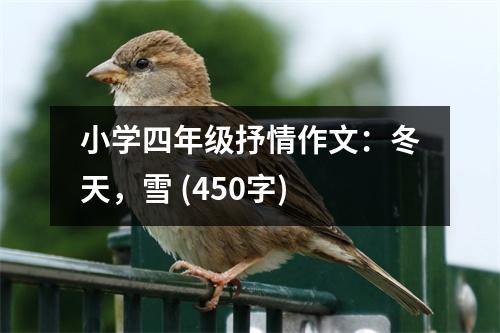 小學四年級抒情作文：冬天，雪 (450字)