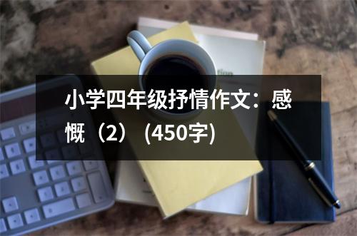 小學(xué)四年級(jí)抒情作文：感慨（2） (450字)
