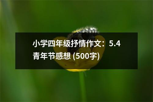 小學(xué)四年級抒情作文：5.4青年節(jié)感想 (500字)
