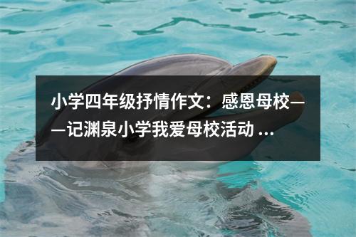 小學(xué)四年級抒情作文：感恩母校——記淵泉小學(xué)我愛母?；顒?(450字)