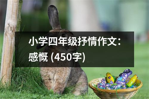 小學(xué)四年級抒情作文：感慨 (450字)