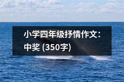 小學(xué)四年級抒情作文：中獎 (350字)