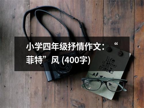小學(xué)四年級抒情作文：“菲特”風(fēng) (400字)
