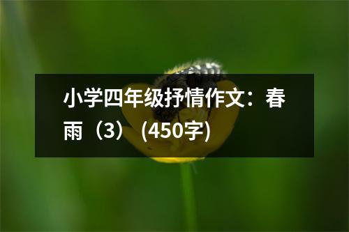 小學(xué)四年級抒情作文：春雨（3） (450字)