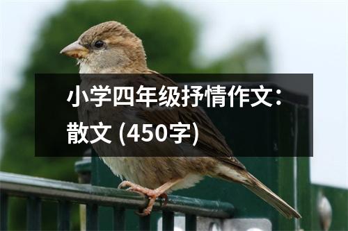 小學(xué)四年級(jí)抒情作文：散文 (450字)
