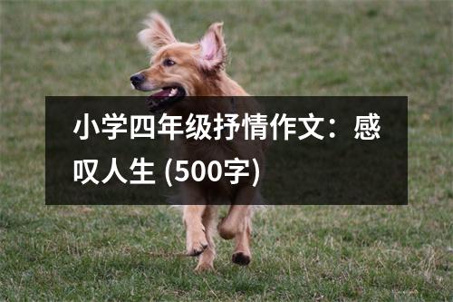 小學(xué)四年級(jí)抒情作文：感嘆人生 (500字)