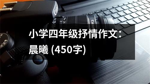 小學(xué)四年級抒情作文：晨曦 (450字)