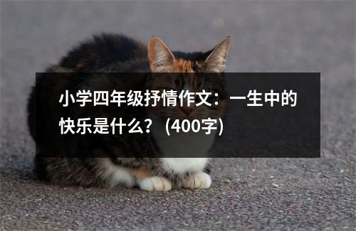 小學(xué)四年級抒情作文：一生中的快樂是什么？ (400字)