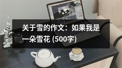 關(guān)于雪的作文：如果我是一朵雪花 (500字)