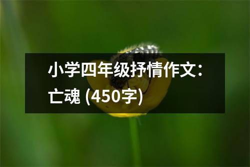 小學(xué)四年級(jí)抒情作文：亡魂 (450字)
