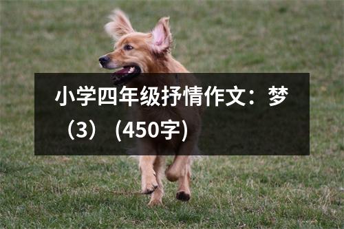 小學(xué)四年級(jí)抒情作文：夢(mèng)（3） (450字)