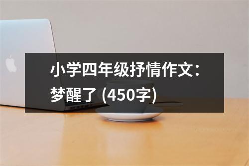 小學(xué)四年級(jí)抒情作文：夢醒了 (450字)