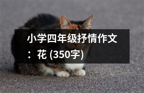 小學(xué)四年級抒情作文：花 (350字)