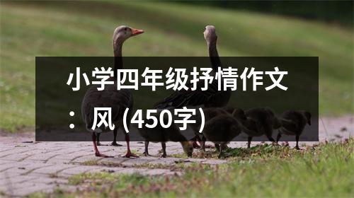 小學(xué)四年級抒情作文：風(fēng) (450字)