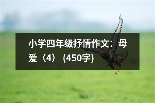 小學(xué)四年級抒情作文：母愛（4） (450字)