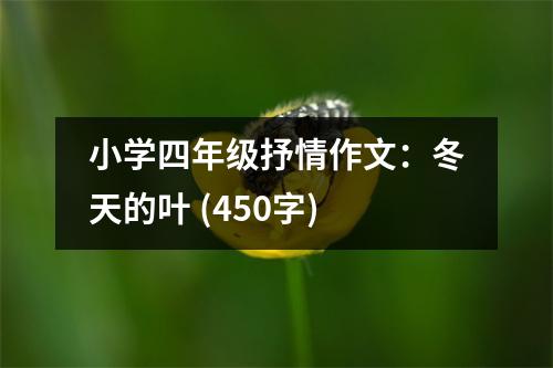 小學(xué)四年級抒情作文：冬天的葉 (450字)