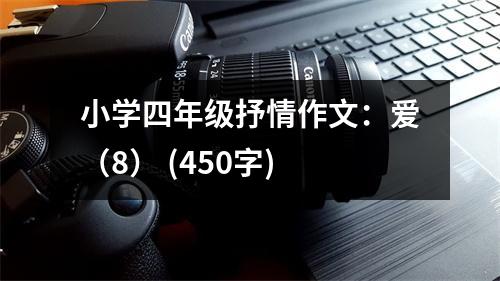 小學(xué)四年級(jí)抒情作文：愛（8） (450字)