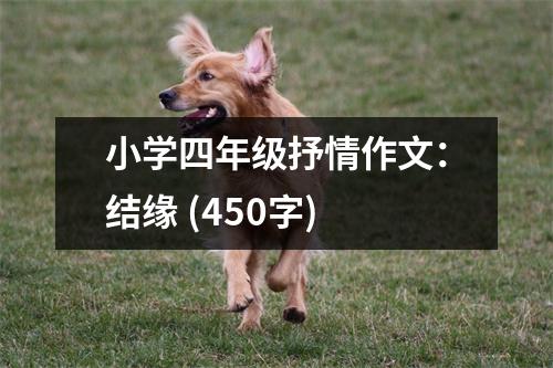 小學四年級抒情作文：結(jié)緣 (450字)