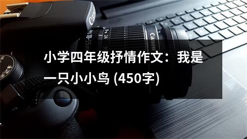 小學四年級抒情作文：我是一只小小鳥 (450字)