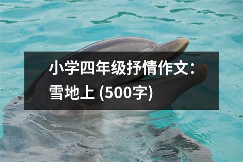小學四年級抒情作文：雪地上 (500字)