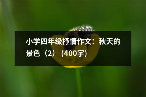 小學(xué)四年級抒情作文：秋天的景色（2） (400字)