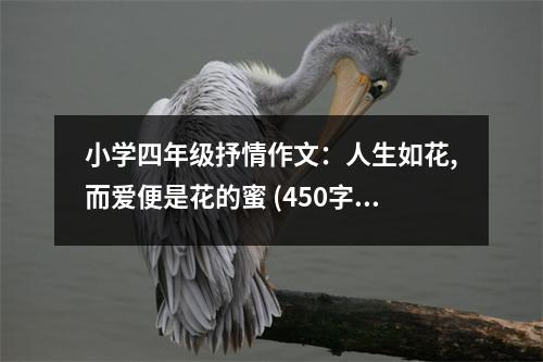 小學(xué)四年級抒情作文：人生如花,而愛便是花的蜜 (450字)
