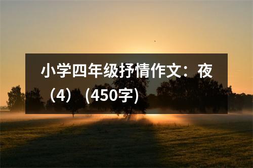 小學(xué)四年級抒情作文：夜（4） (450字)