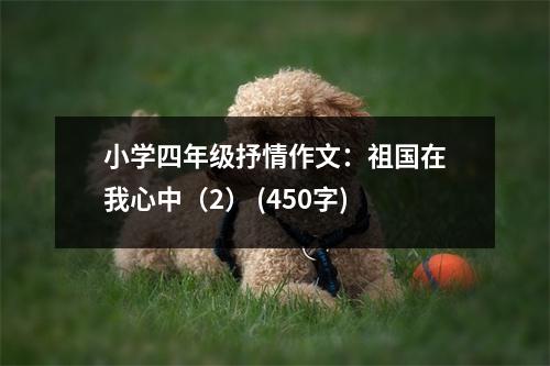 小學(xué)四年級抒情作文：祖國在我心中（2） (450字)