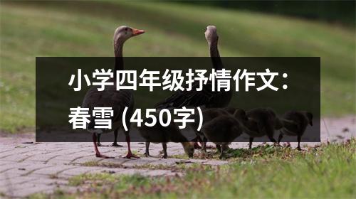 小學(xué)四年級抒情作文：春雪 (450字)