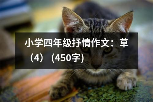 小學四年級抒情作文：草（4） (450字)