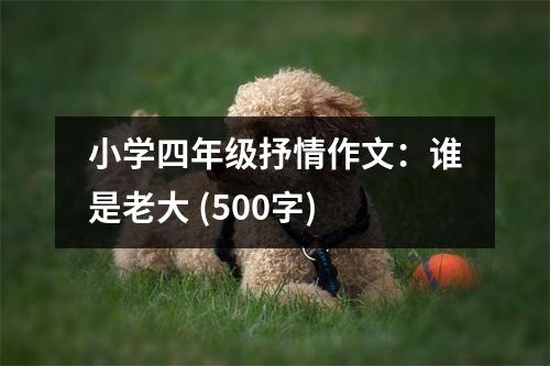 小學(xué)四年級抒情作文：誰是老大 (500字)