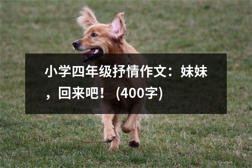 小學四年級抒情作文：妹妹，回來吧！ (400字)
