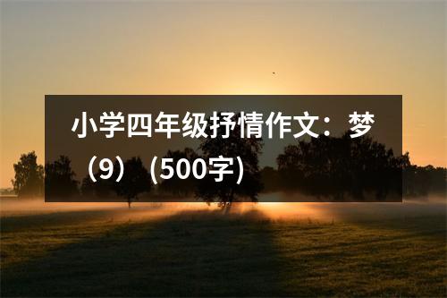 小學(xué)四年級(jí)抒情作文：夢(mèng)（9） (500字)