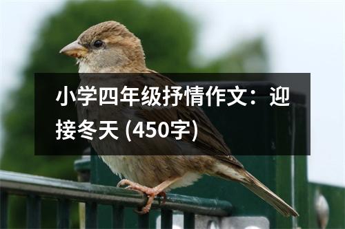 小學(xué)四年級(jí)抒情作文：迎接冬天 (450字)
