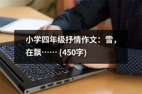 小學(xué)四年級(jí)抒情作文：雪，在飄…… (450字)