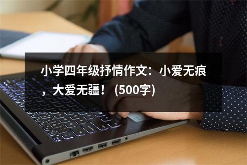 小學(xué)四年級抒情作文：小愛無痕，大愛無疆！ (500字)