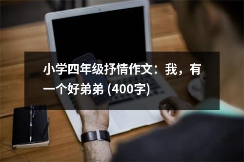 小學(xué)四年級抒情作文：我，有一個好弟弟 (400字)