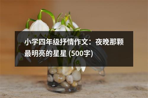 小學四年級抒情作文：夜晚那顆最明亮的星星 (500字)