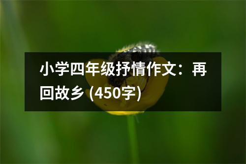 小學(xué)四年級抒情作文：再回故鄉(xiāng) (450字)