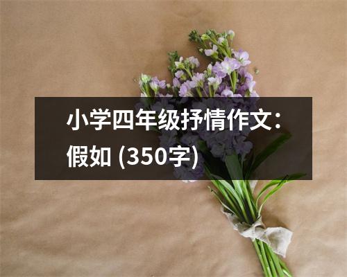 小學(xué)四年級抒情作文：假如 (350字)
