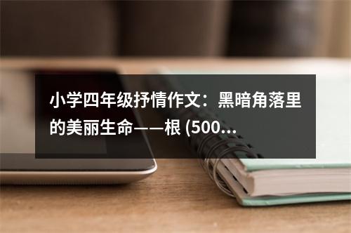 小學(xué)四年級抒情作文：黑暗角落里的美麗生命——根 (500字)