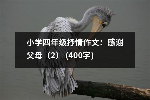 小學(xué)四年級抒情作文：感謝父母（2） (400字)