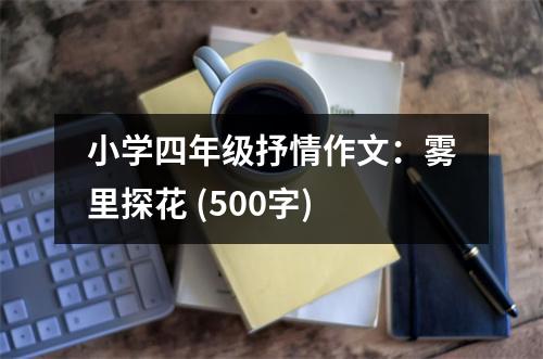 小學(xué)四年級抒情作文：霧里探花 (500字)