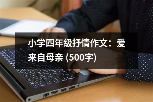 小學四年級抒情作文：愛來自母親 (500字)