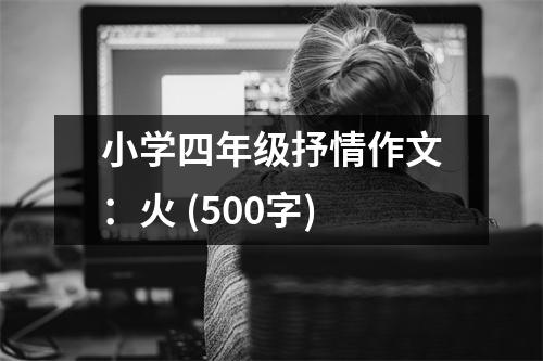 小學四年級抒情作文：火 (500字)