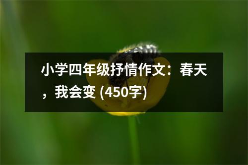小學四年級抒情作文：春天，我會變 (450字)