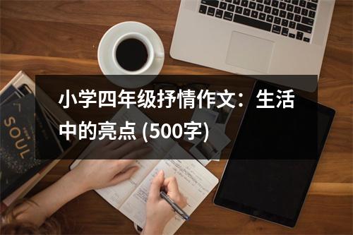 小學(xué)四年級(jí)抒情作文：生活中的亮點(diǎn) (500字)