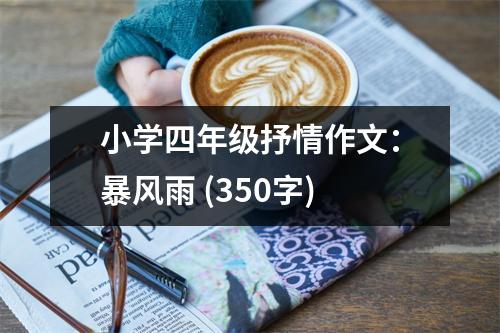 小學(xué)四年級抒情作文：暴風(fēng)雨 (350字)