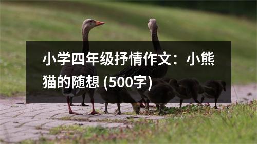 小學(xué)四年級抒情作文：小熊貓的隨想 (500字)